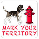 The Barking Lot